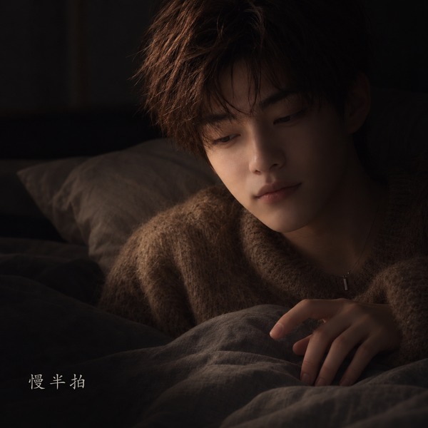 《慢半拍》封面